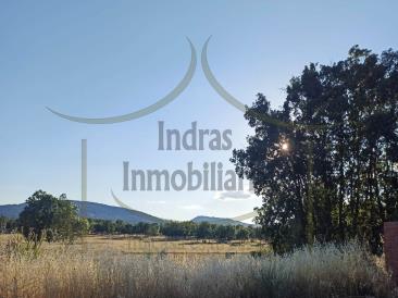 Obra Nueva